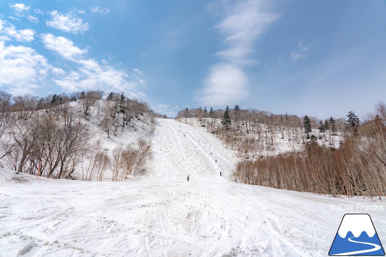 札幌国際スキー場｜2023・ゴールデンウィークがスタート！心配された雪ですが…。大丈夫、ちゃんと残ってくれました(^_-)-☆